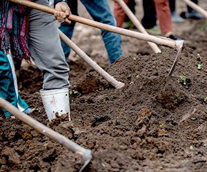 小さな修理から大きな修理まで対応