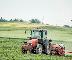小さな修理から大きな修理まで対応
